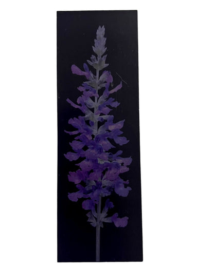 Noir Bloom