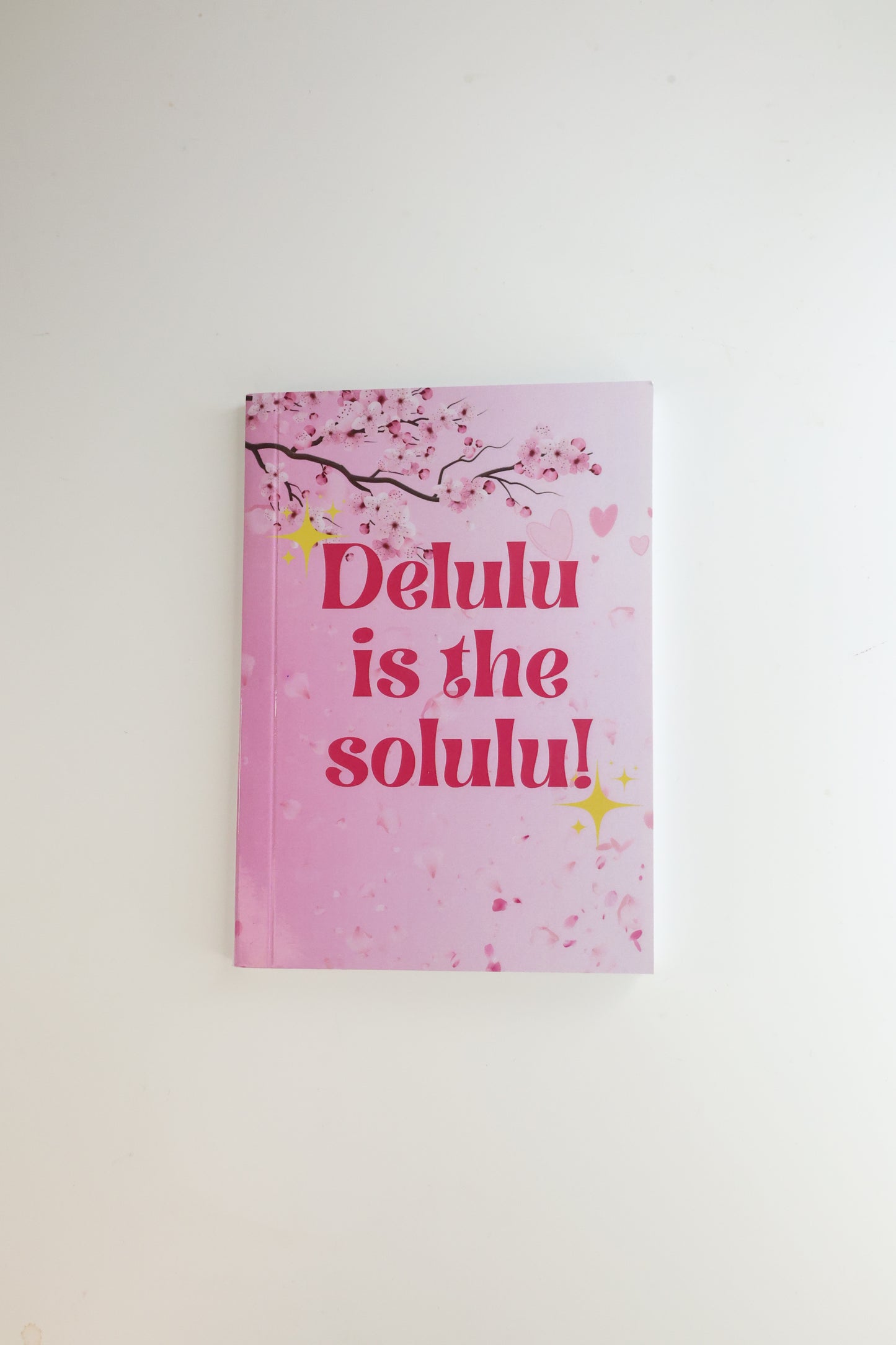 Aaira's Delusional Notebook