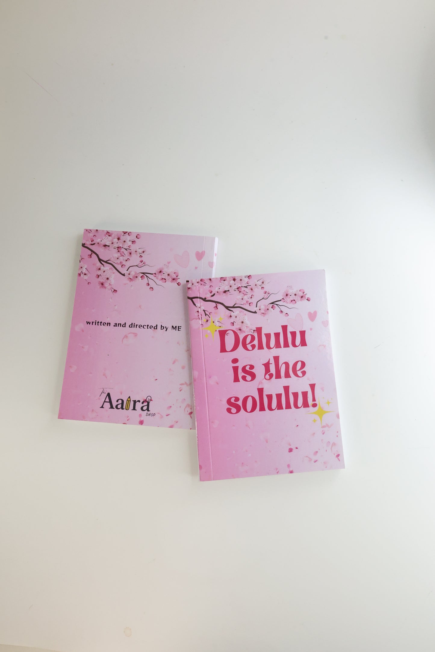 Aaira's Delusional Notebook